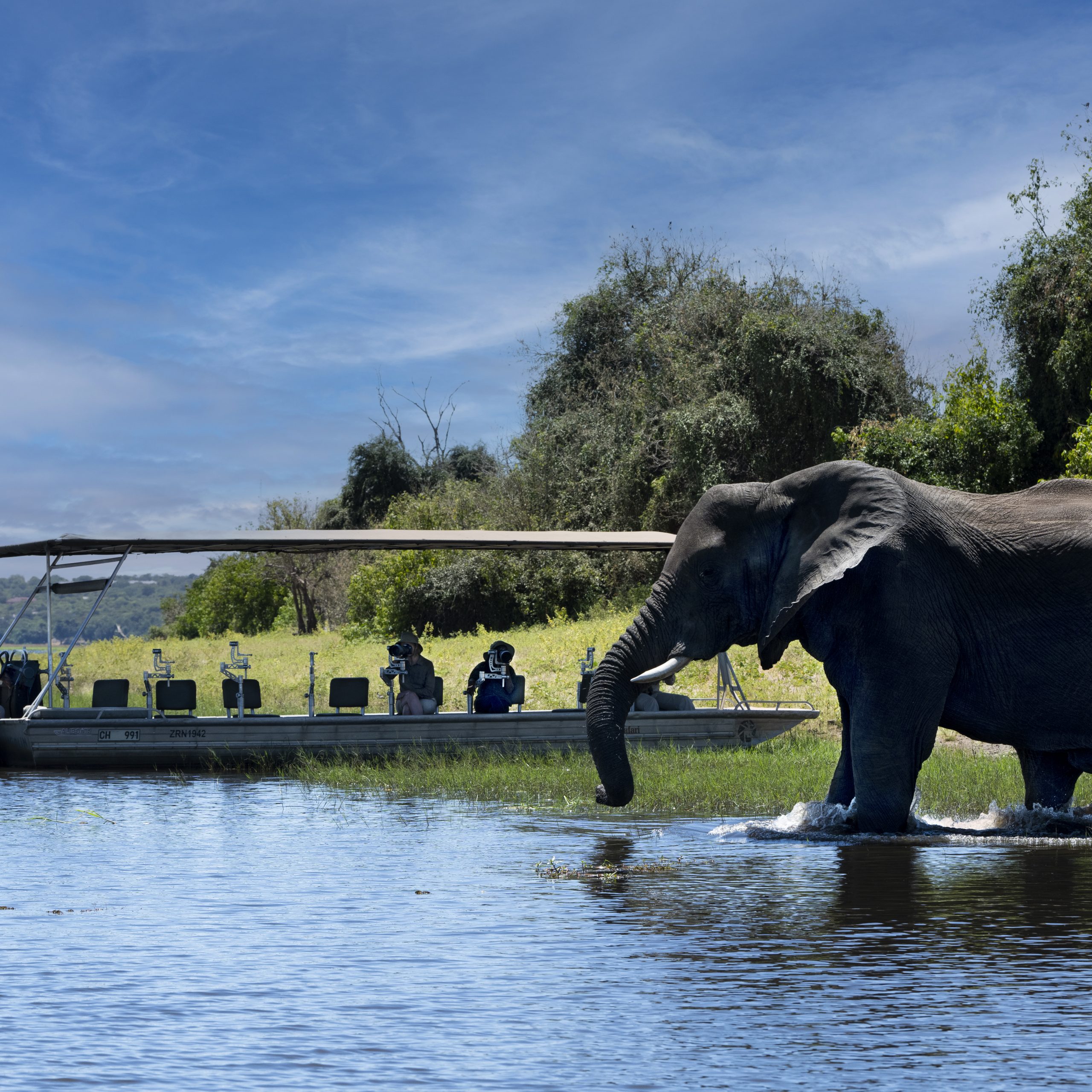 Chobe Botswana