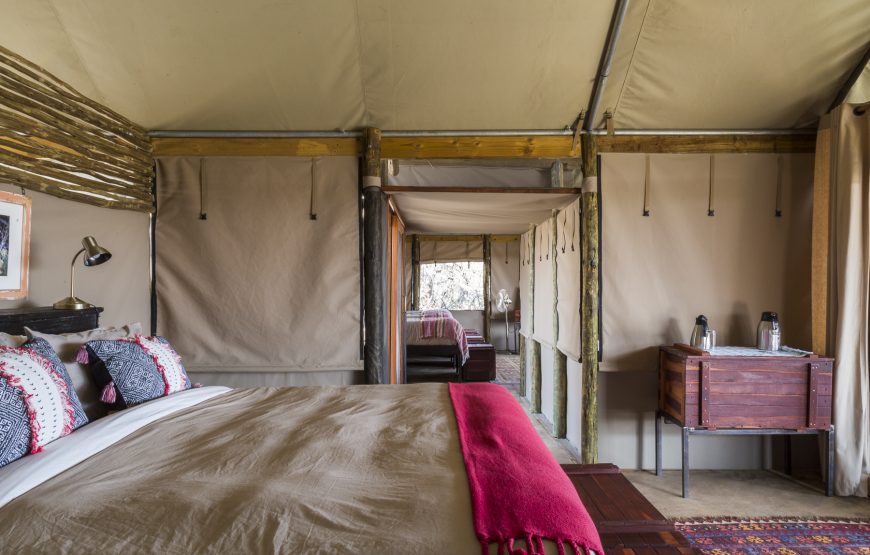 Family Tent