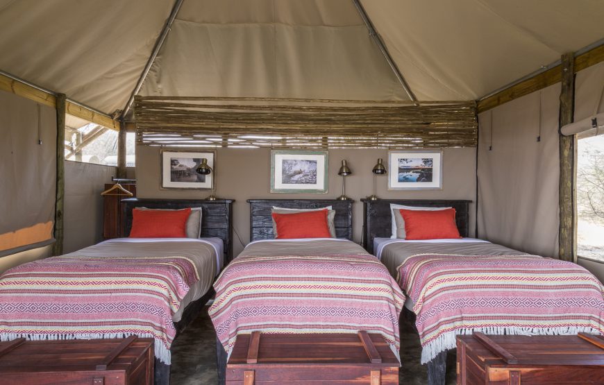 Family Tent