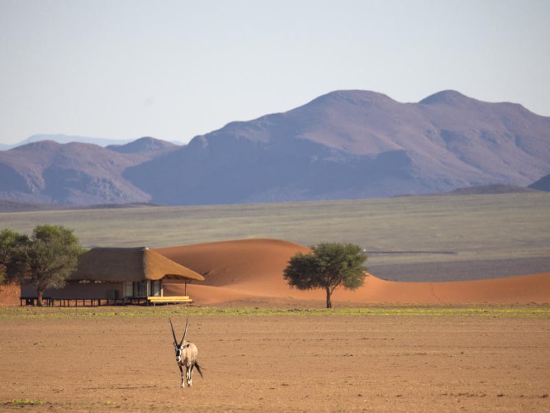 Kwesi Dunes Family