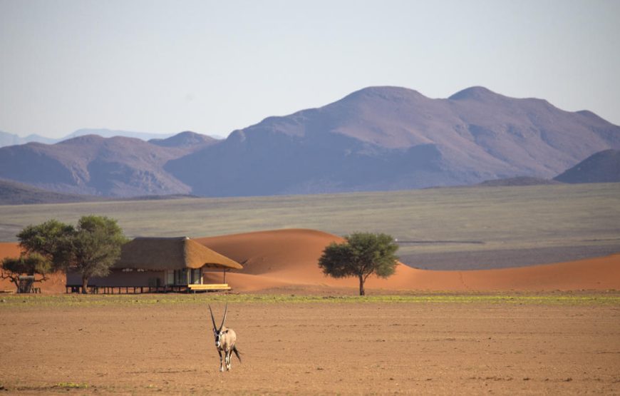 Kwesi Dunes Family