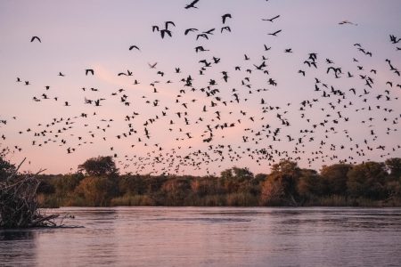 Ichingo Chobe River Lodge