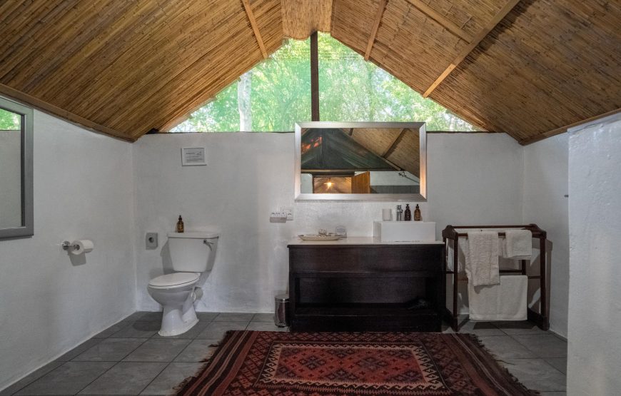 Safari Tent