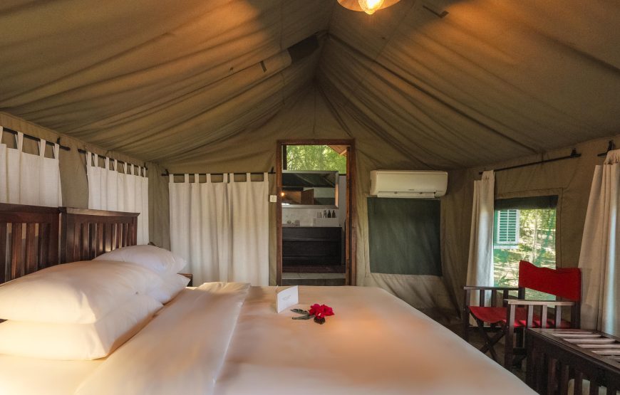 Safari Tent