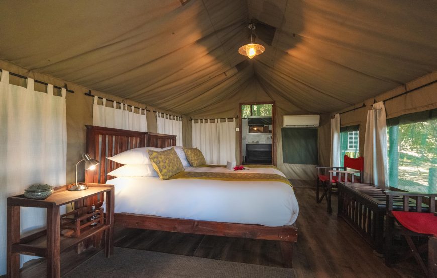 Safari Tent