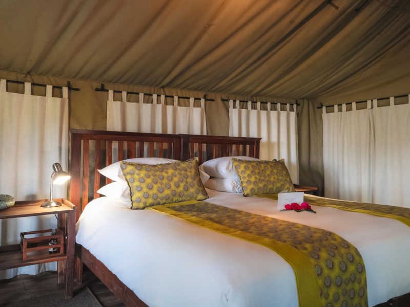 Safari Tent
