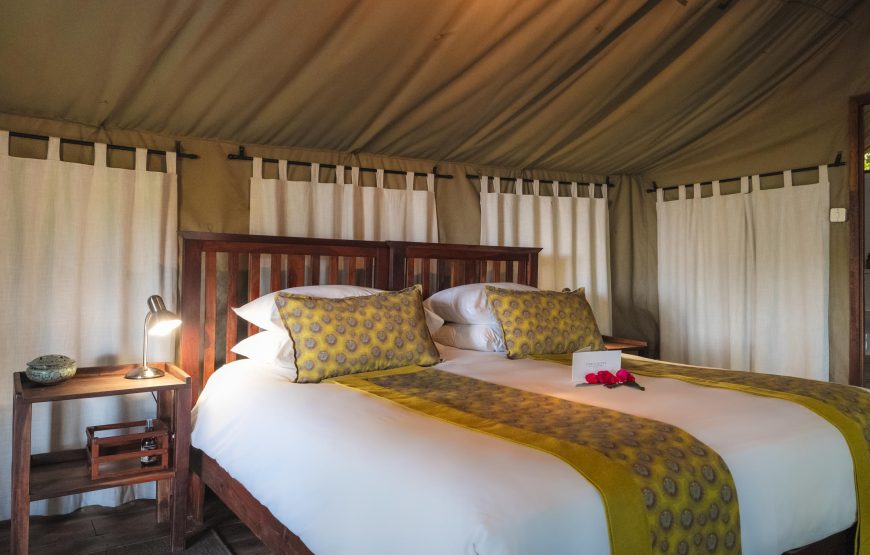 Safari Tent
