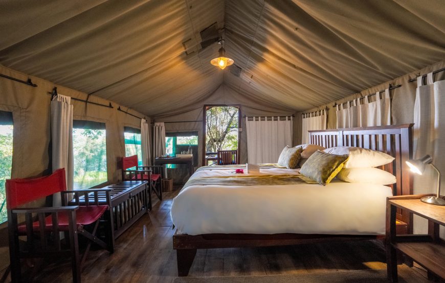 Safari Tent