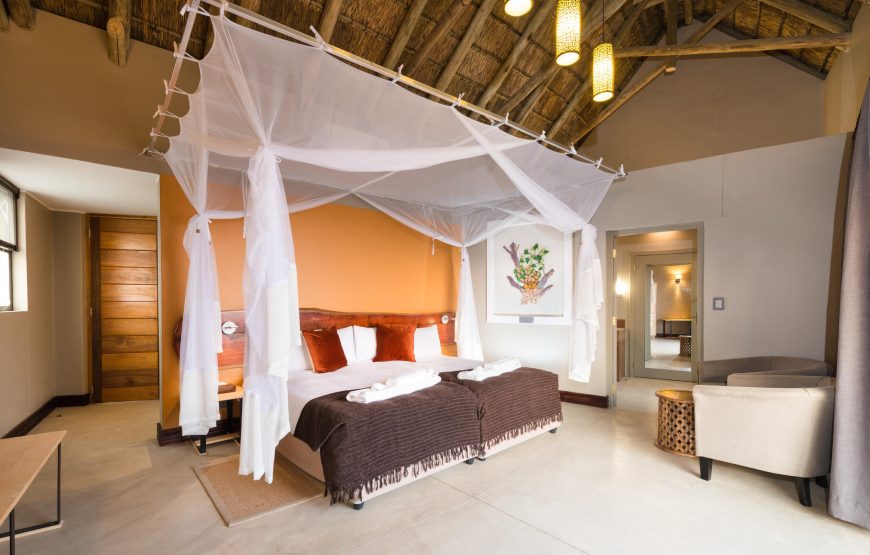 Luxury Room