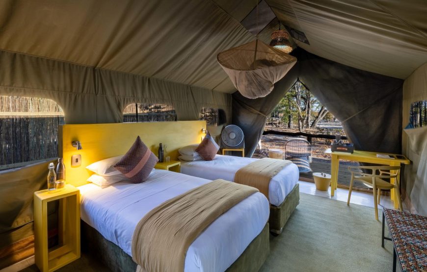 Family Tent