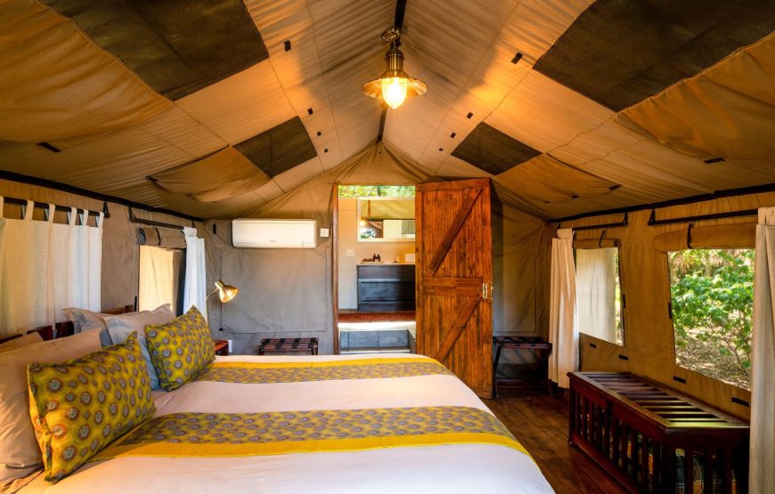 Safari Tent
