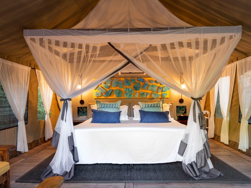 Tent suite