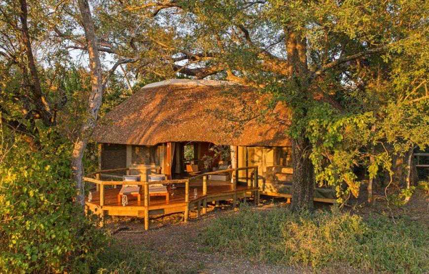 Luxury Safari Tent