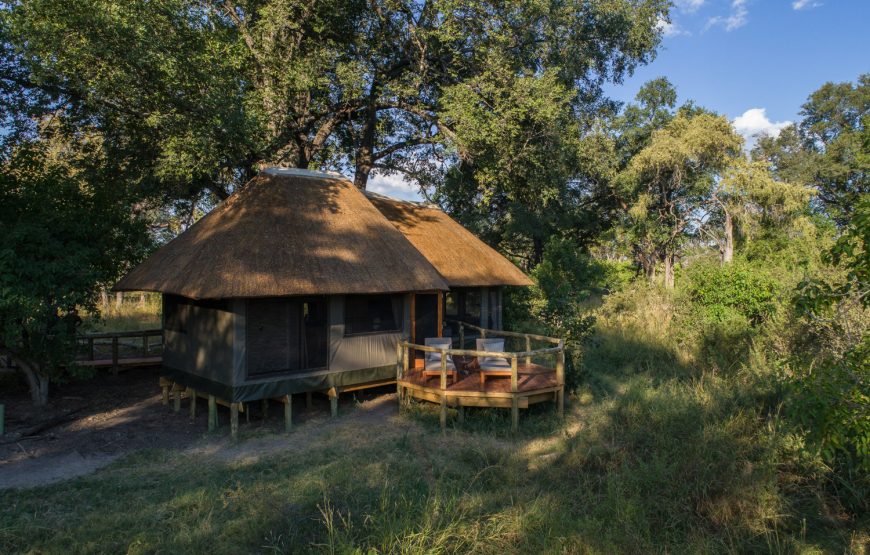 Luxury Safari Tent