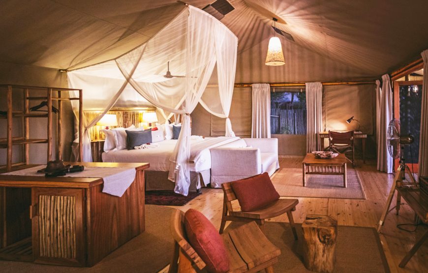 Family Tent