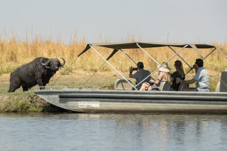 BEST OF DESERT & DELTA SAFARIS – 7 NIGHTS MAUN/KASANE