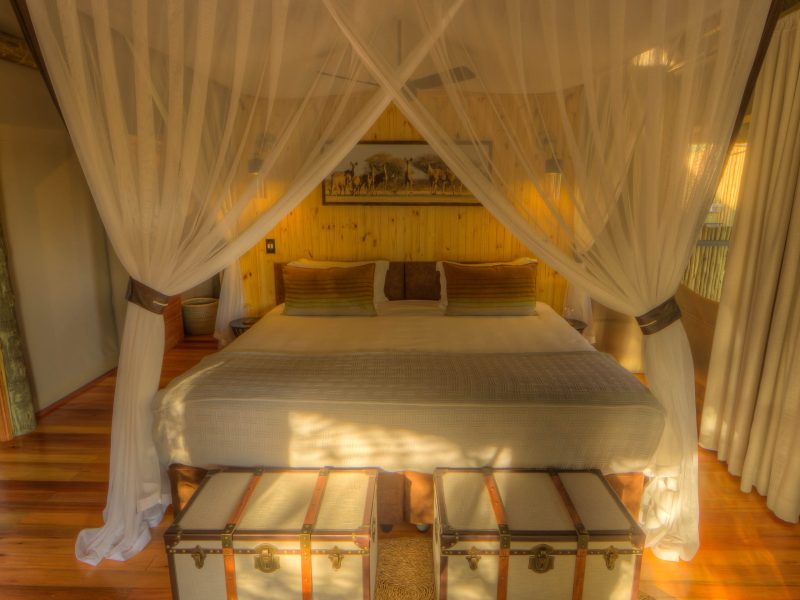 Family Tent