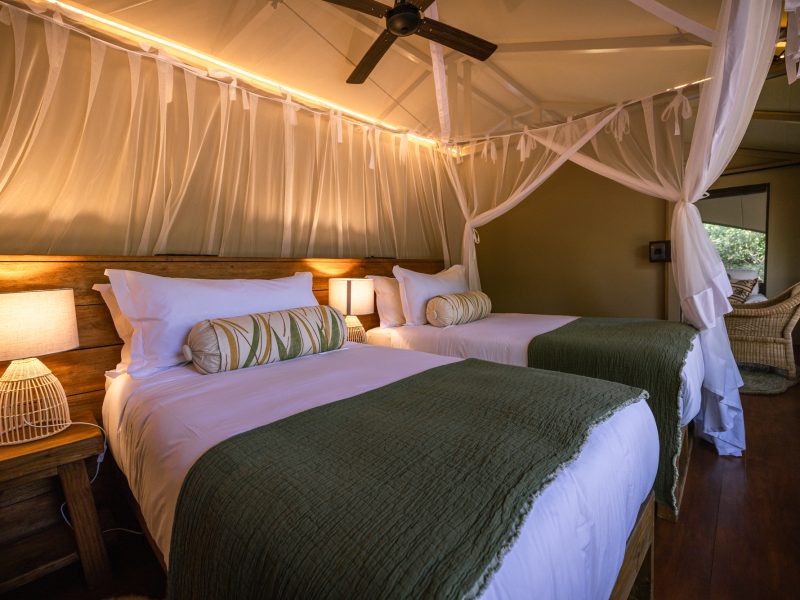 Family Tent