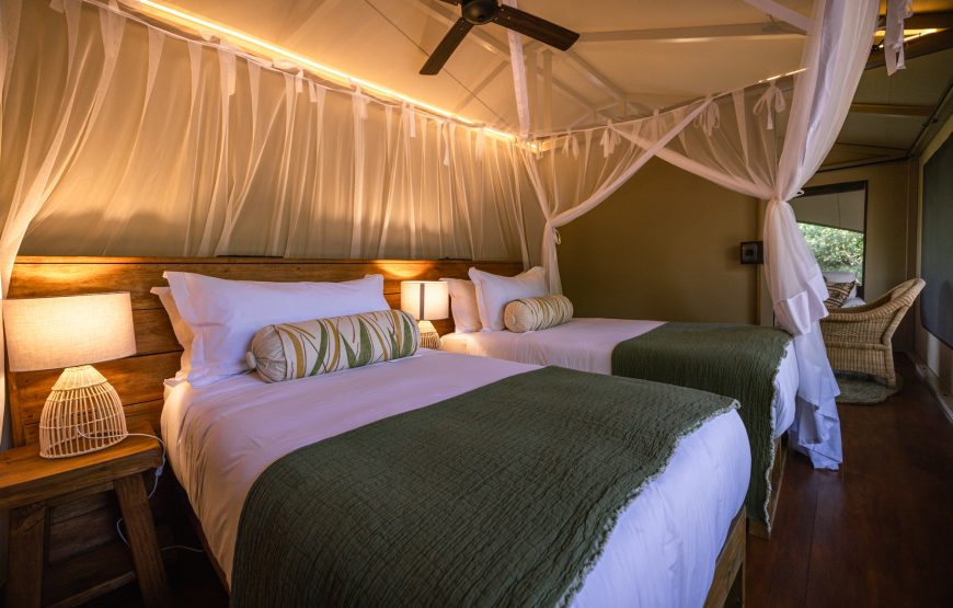 Family Tent