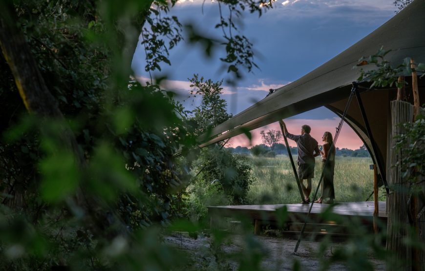 Tent