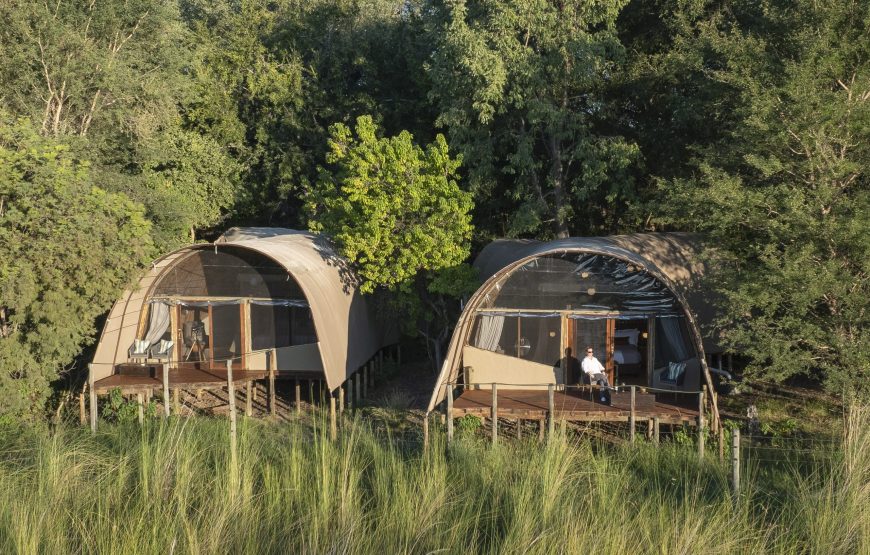 Tent