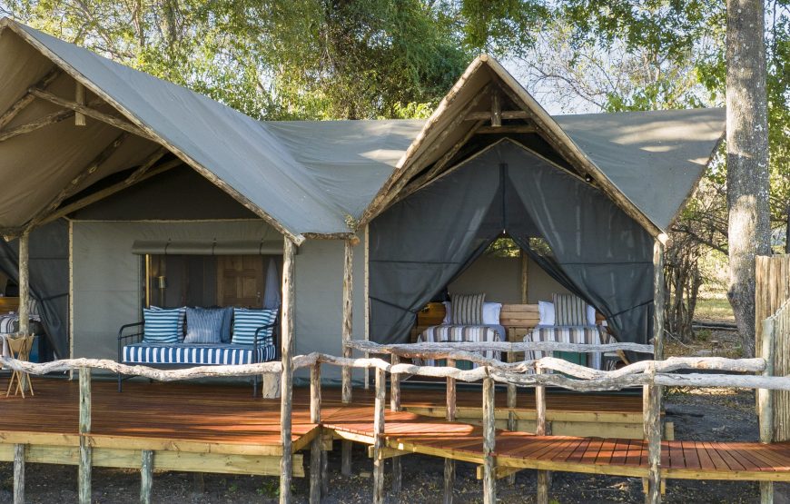 Family Tent