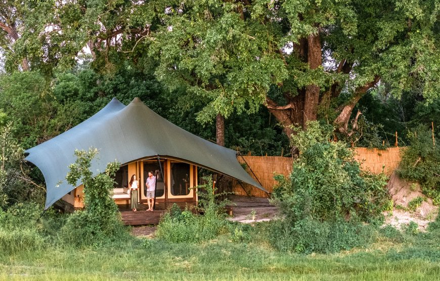 Tent