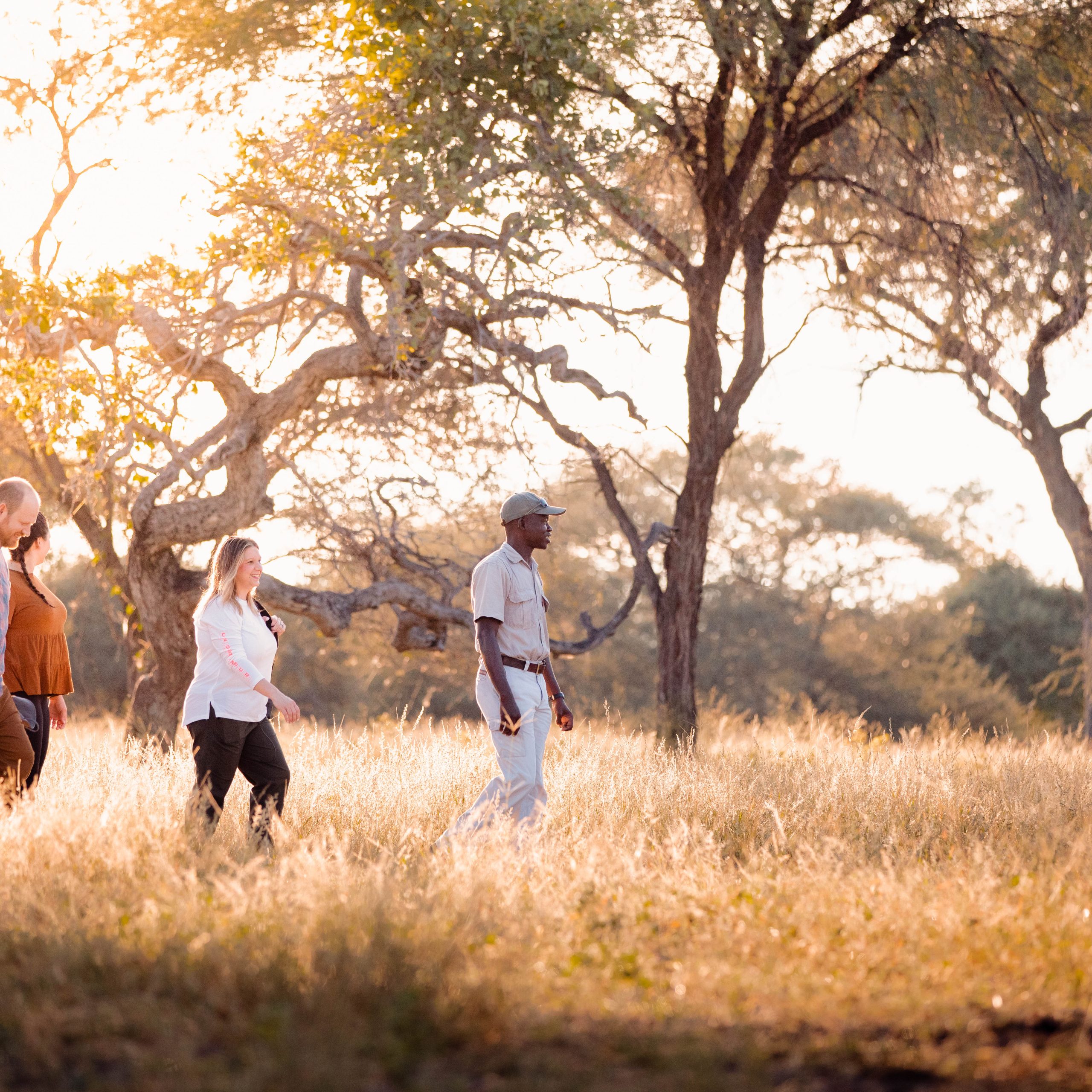 BAOBAB BUSH WALK