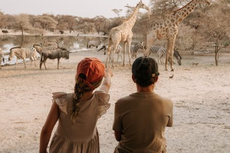 The Giraffe Experience