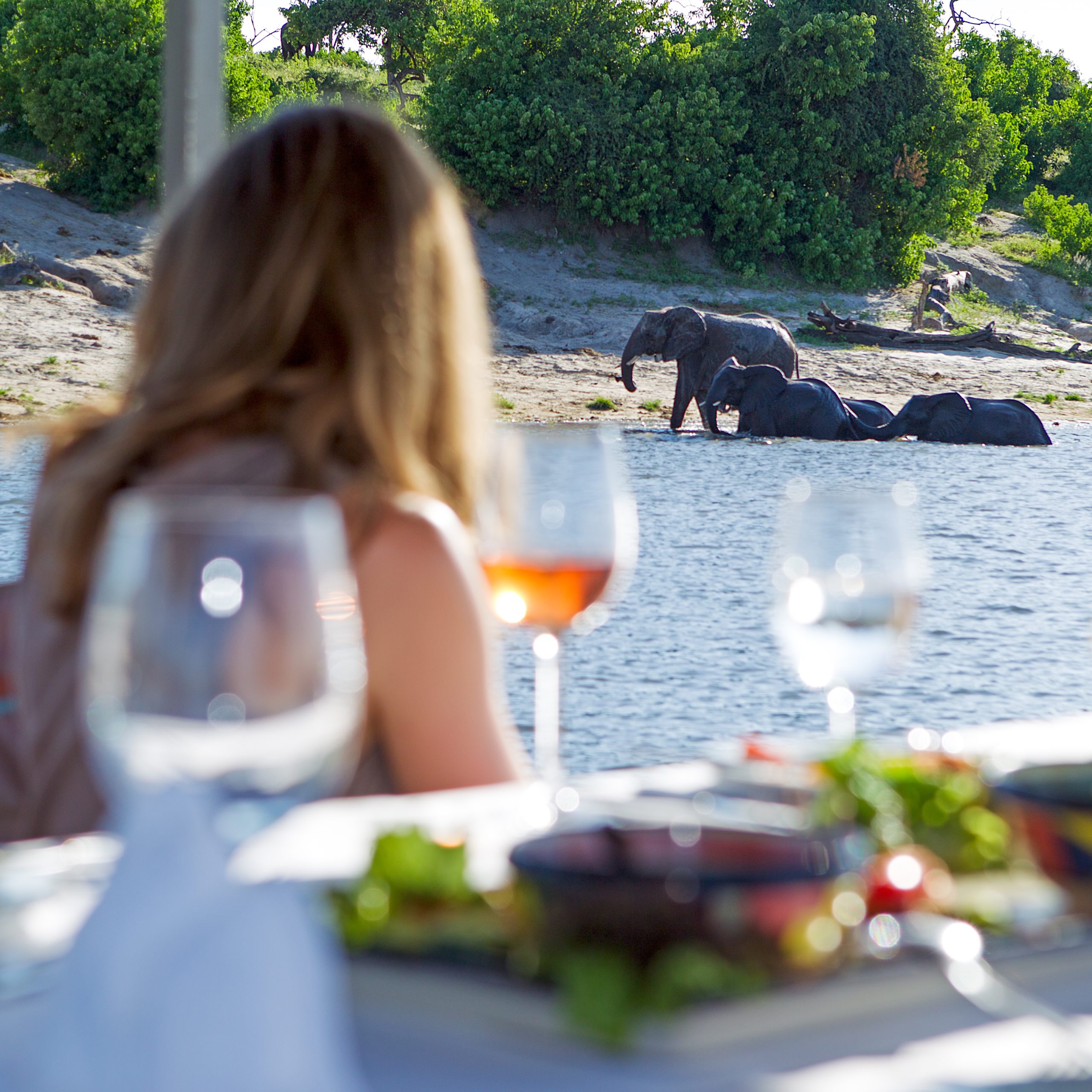  BEST OF DESERT & DELTA SAFARIS – 6 Night Package
