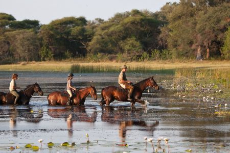 HORSE RIDE
